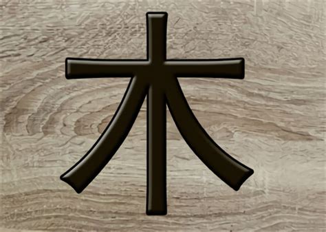 八字木多|雷門易：八字中木多木旺的人有哪些命運特征？